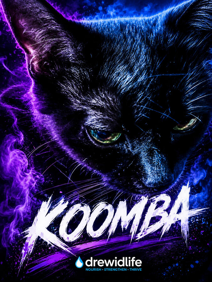Koomba